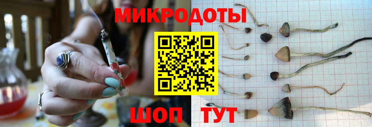 Галлюциногенные грибы Psilocybe  Вход с VPN  Батайск 